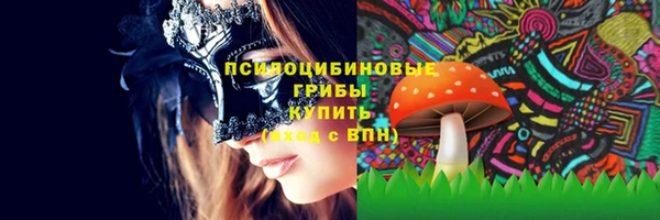 мдпв Нея