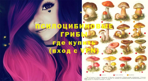 мет Нефтекумск