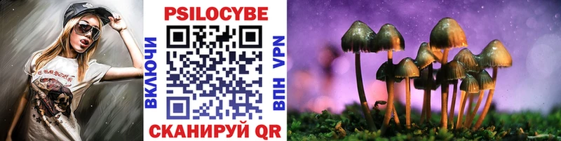 KRAKEN ССЫЛКА Горячеводский Галлюциногенные грибы GOLDEN TEACHER где можно купить